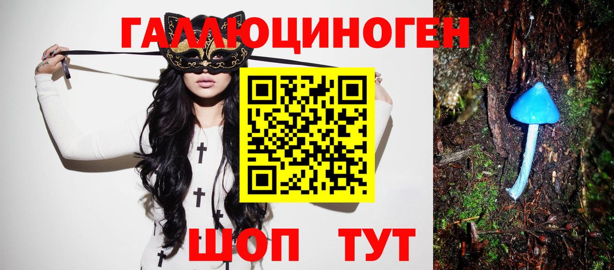 Псилоцибиновые грибы Cubensis  Вход с VPN  Шали 